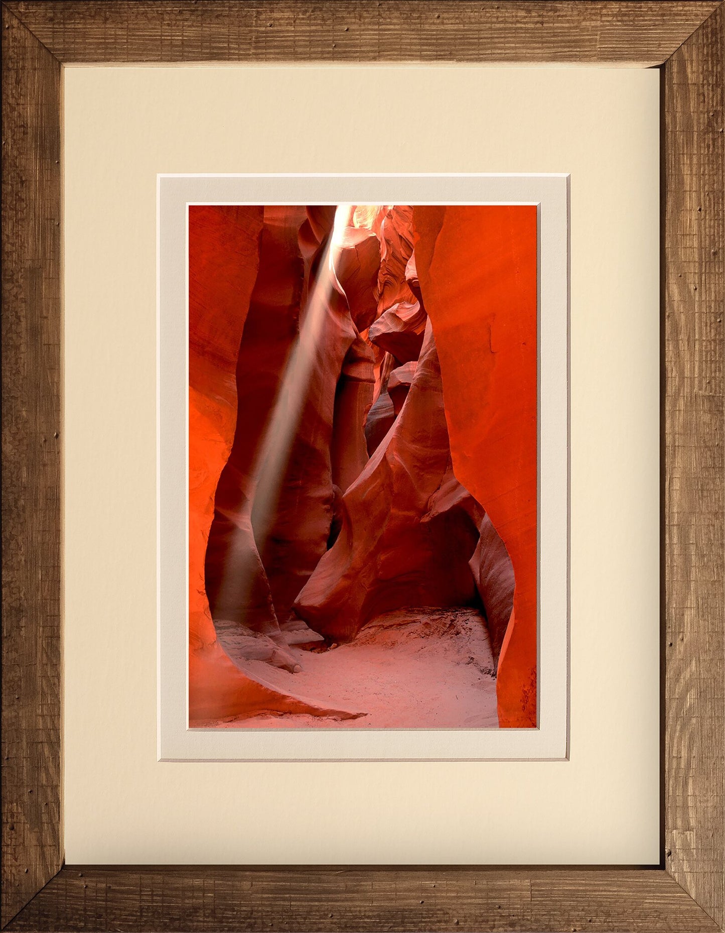 Antelope Light