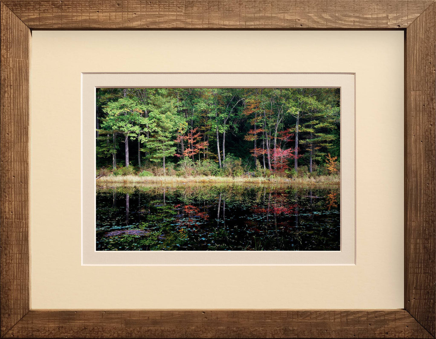 Eastern Reflections