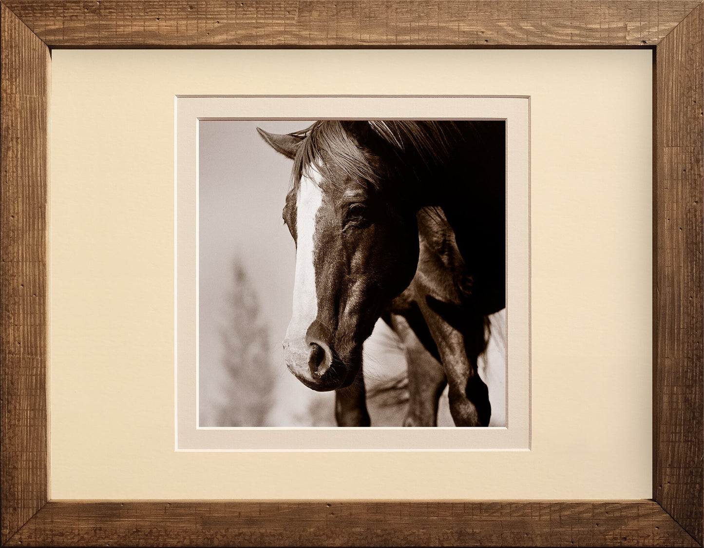 The Look