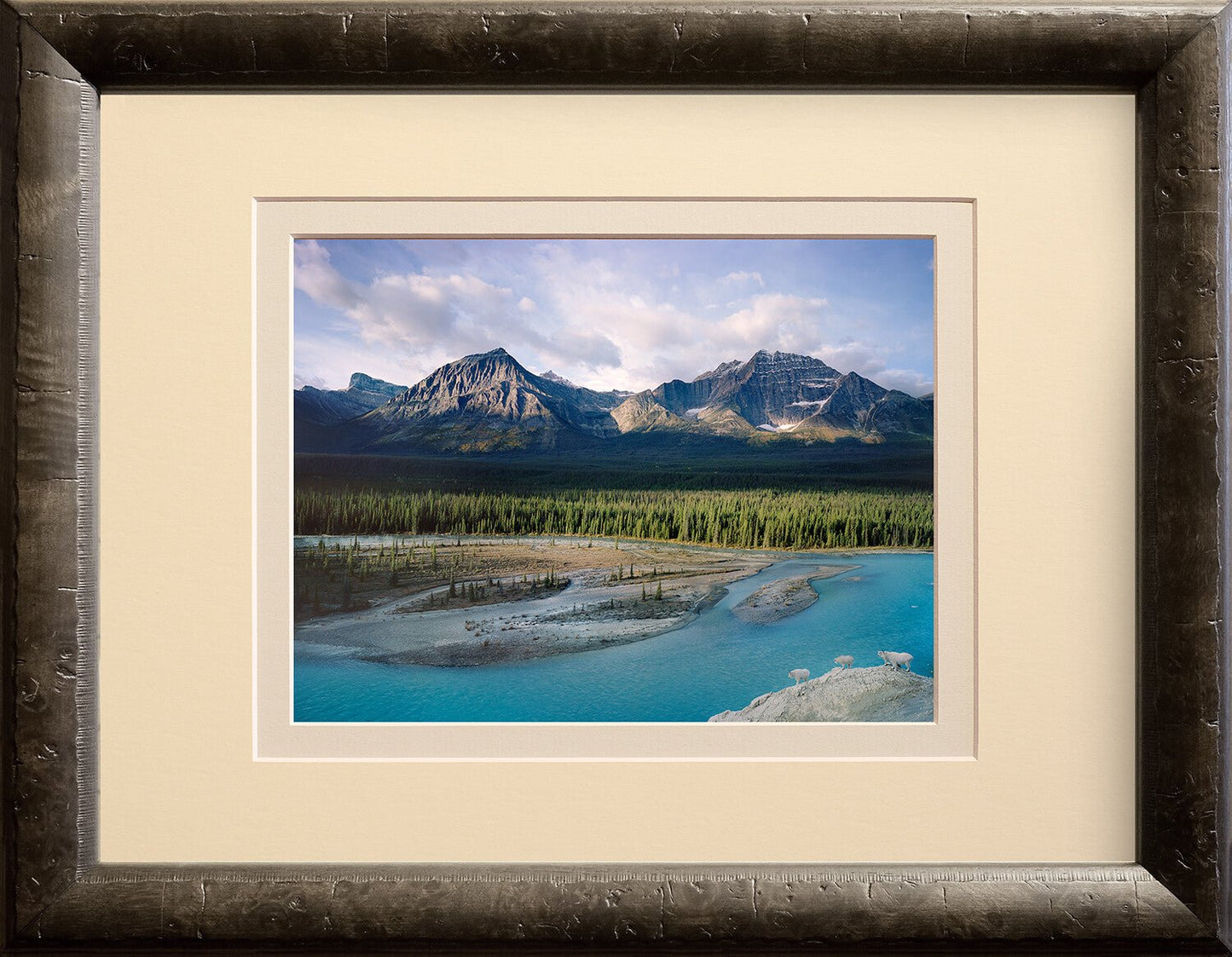 Wild Rocky Mountains
