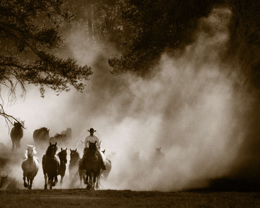 100 In the Dust