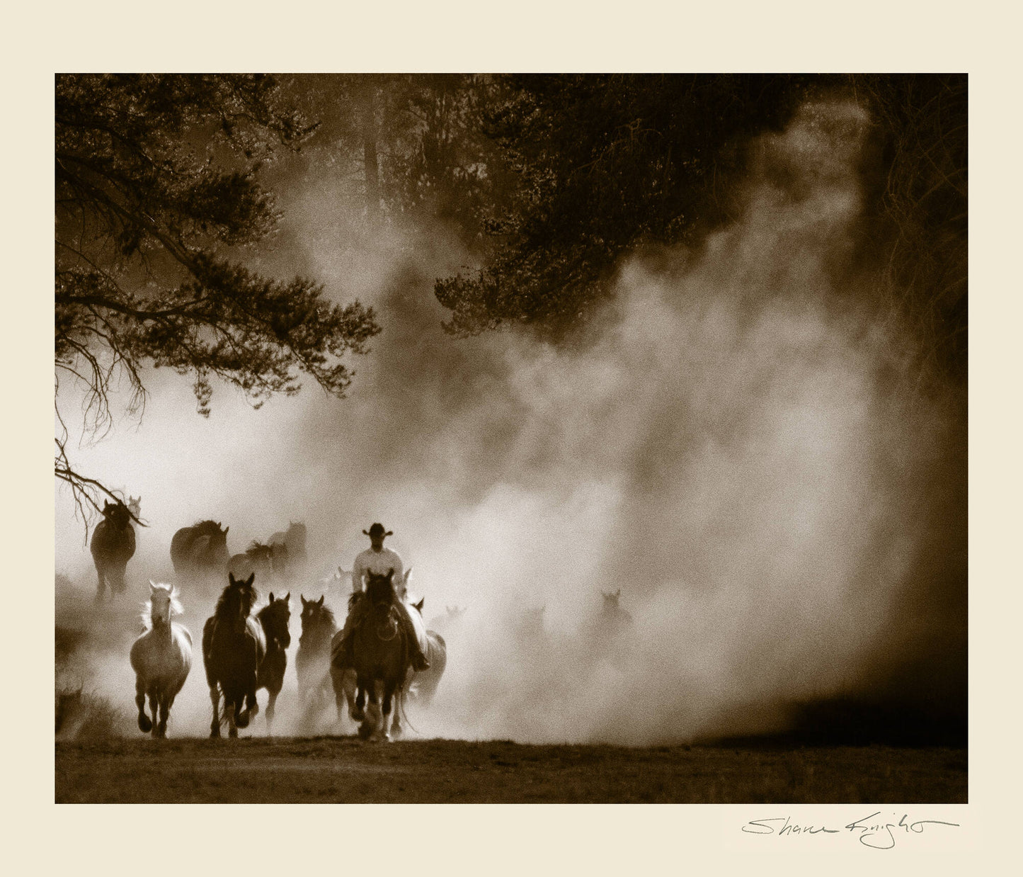 100 In the Dust