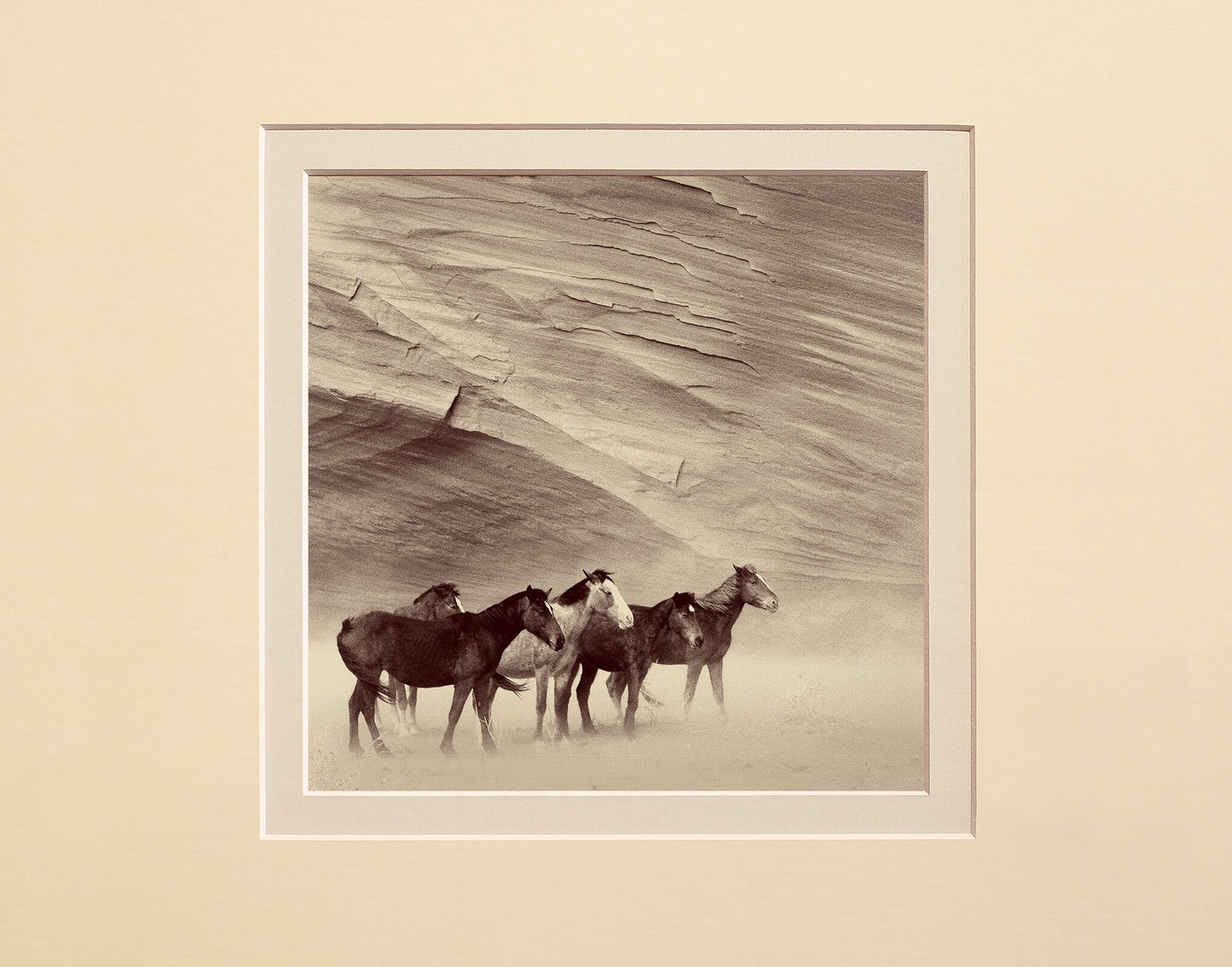 Against the Wind