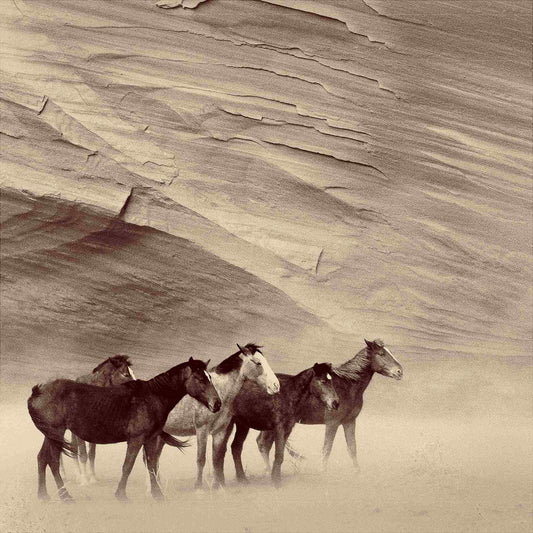 Against the Wind