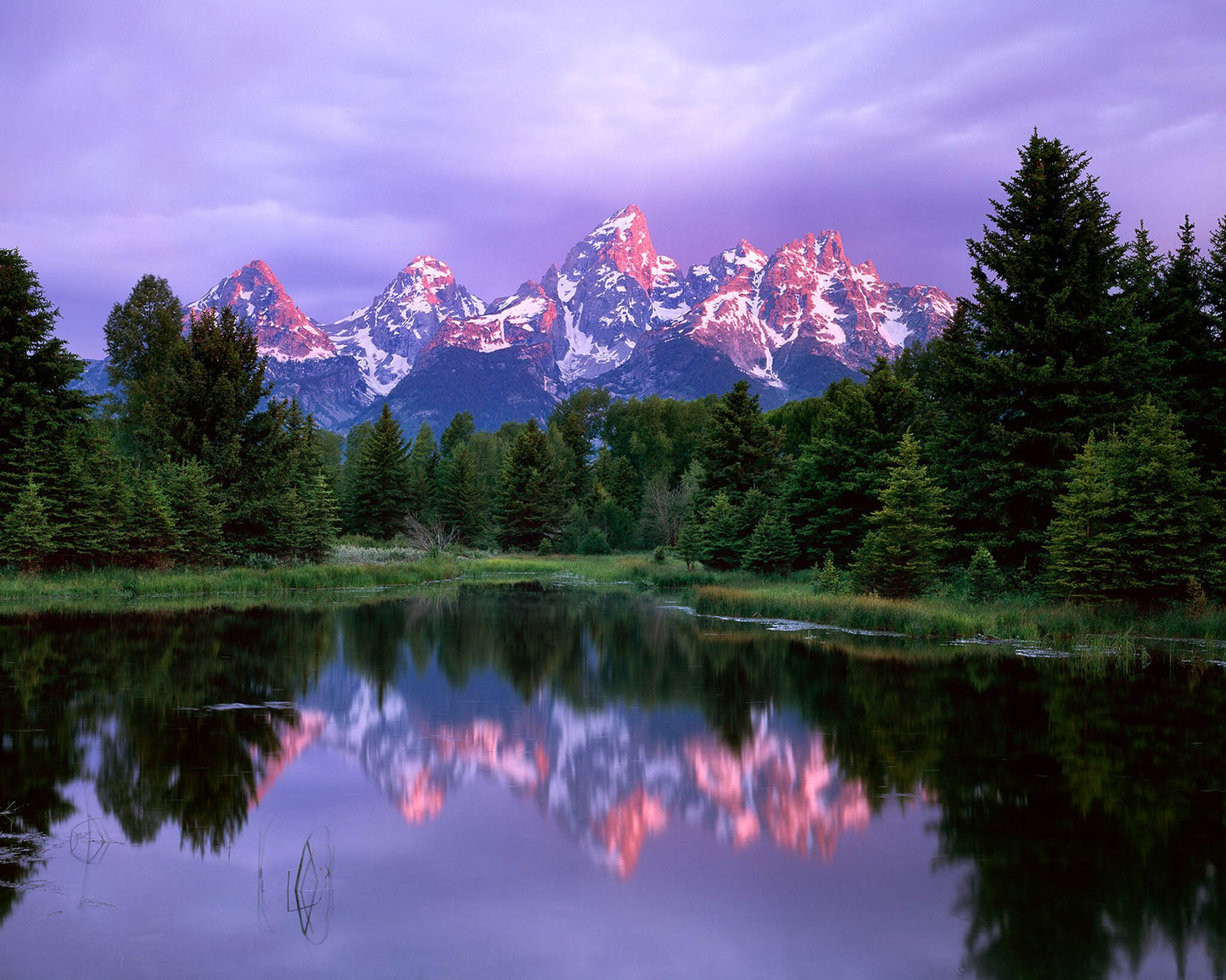 Alpine Reflections