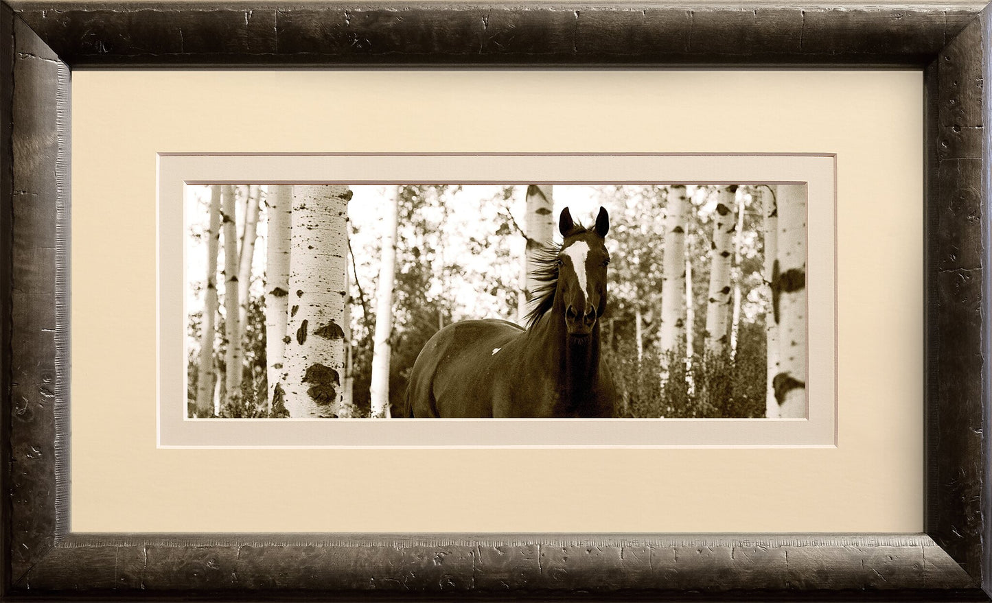 Among the Aspens