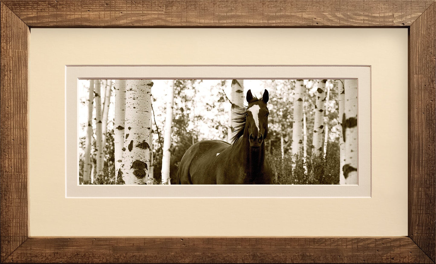 Among the Aspens
