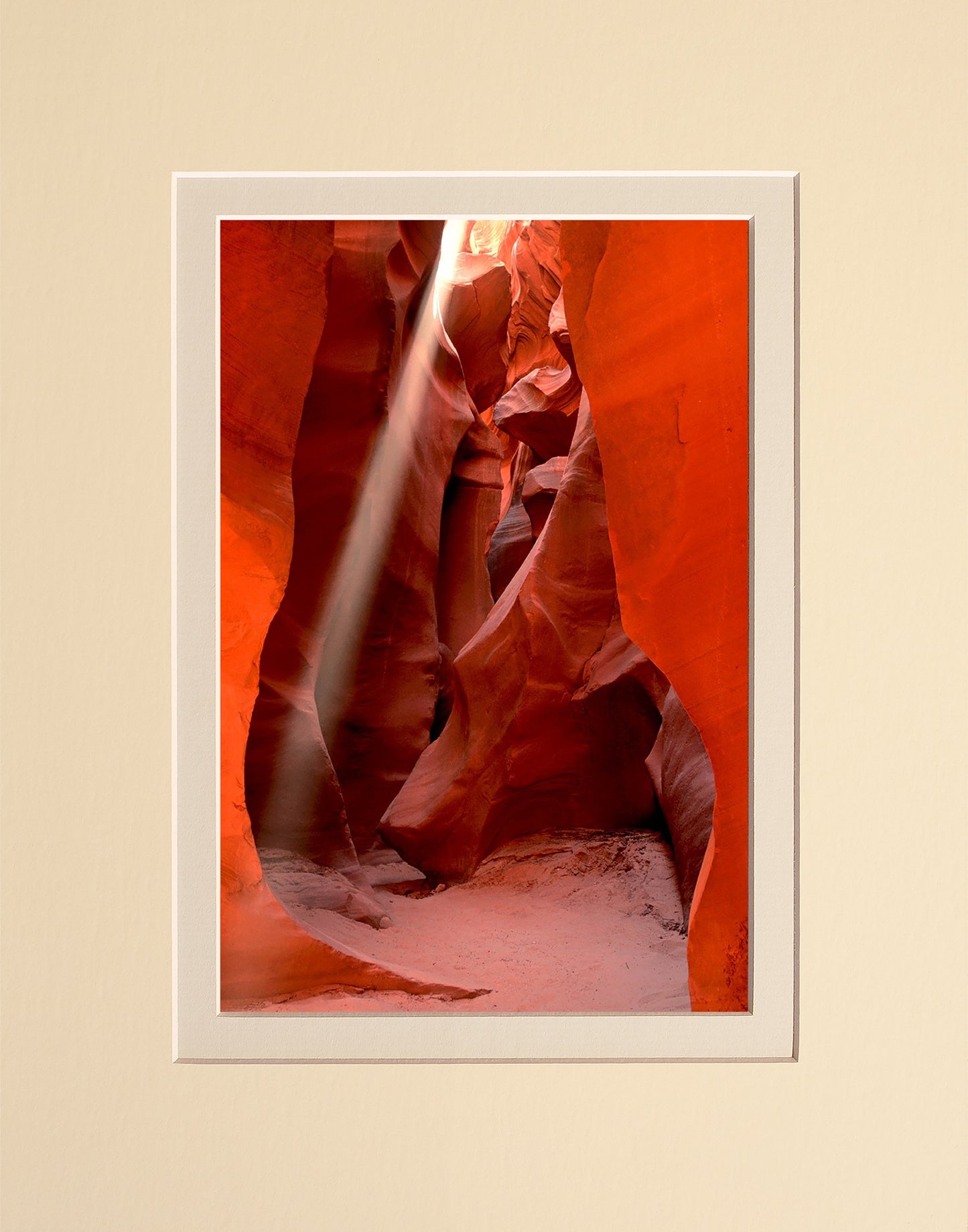 Antelope Light
