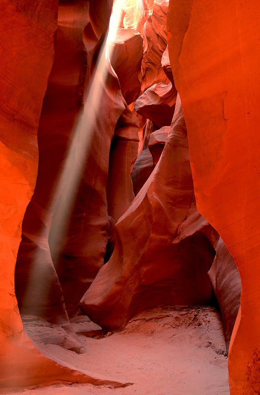 Antelope Light