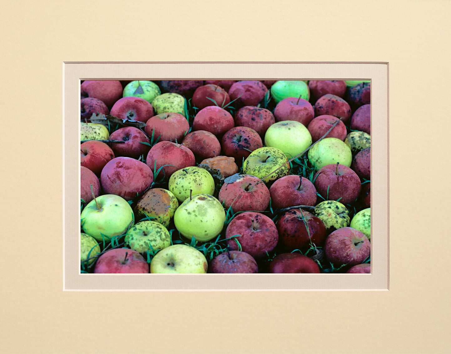 Apples