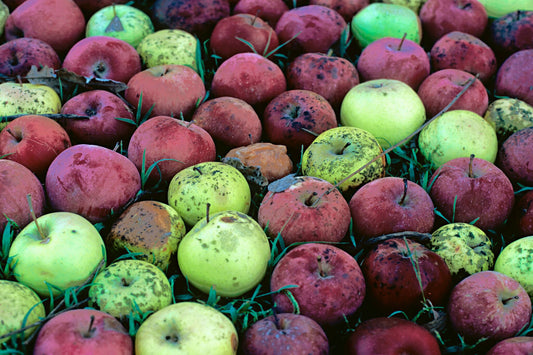 Apples