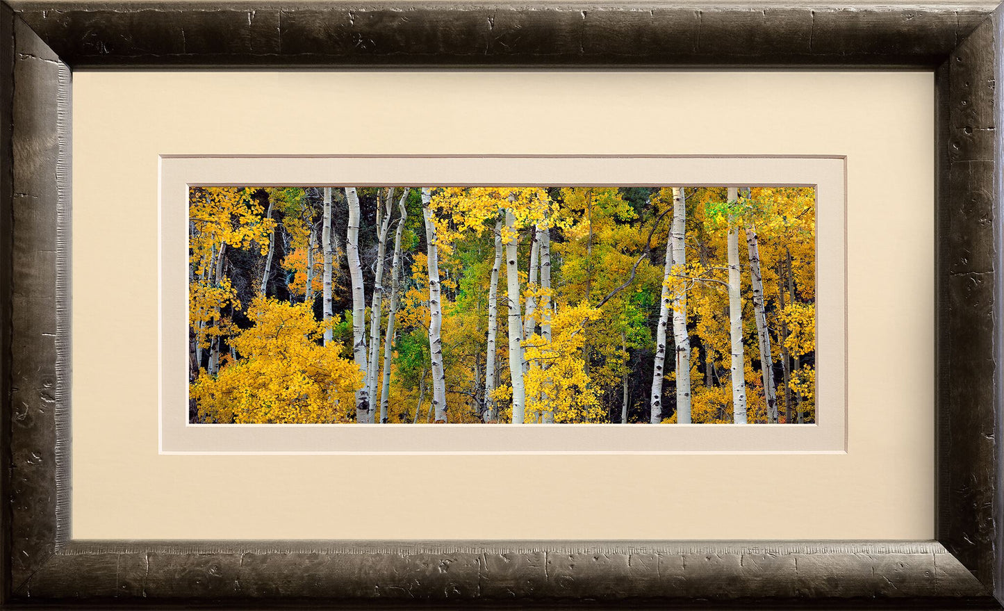 Aspen Avenue