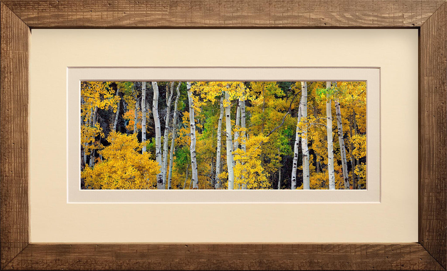 Aspen Avenue