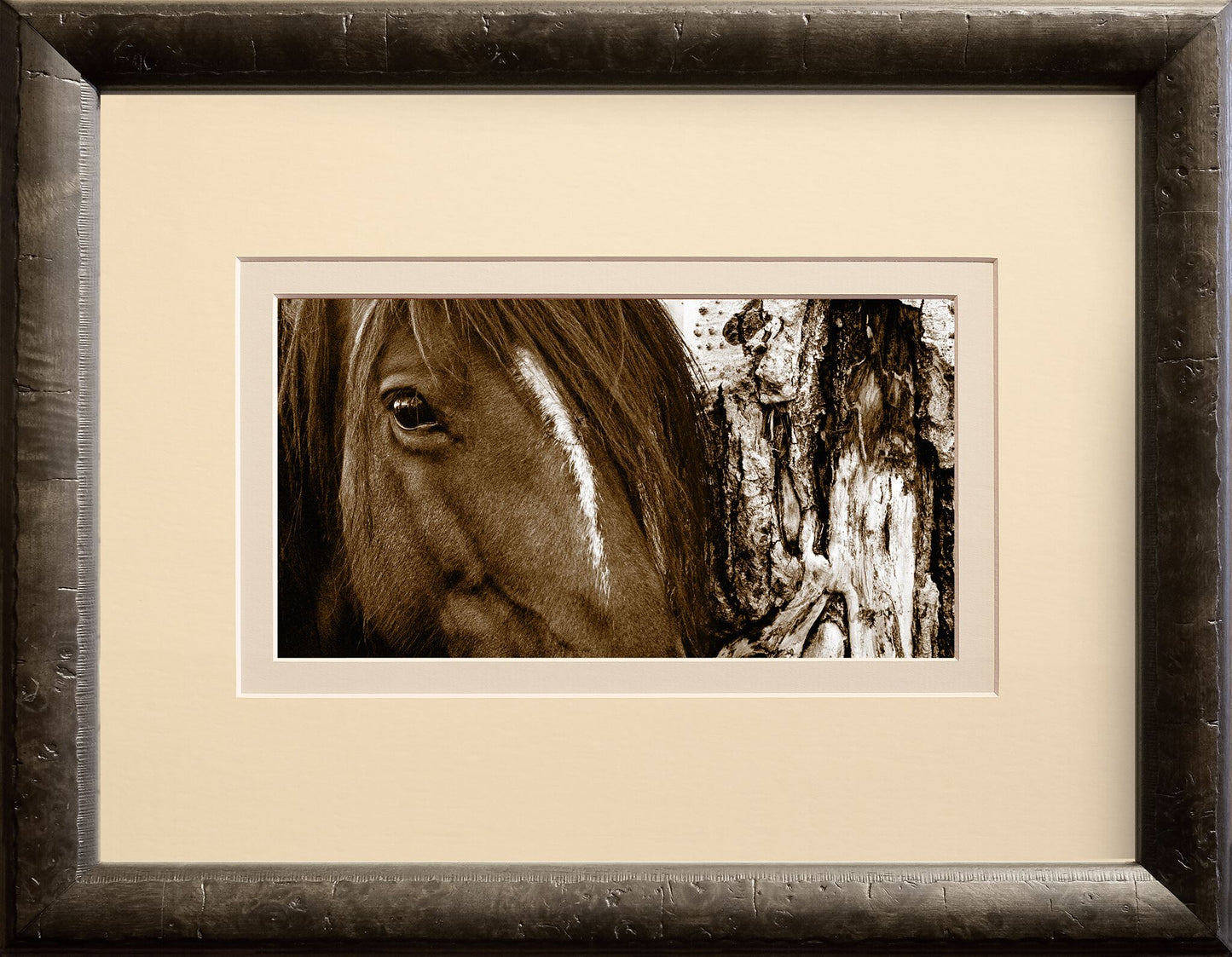 Aspen Horse