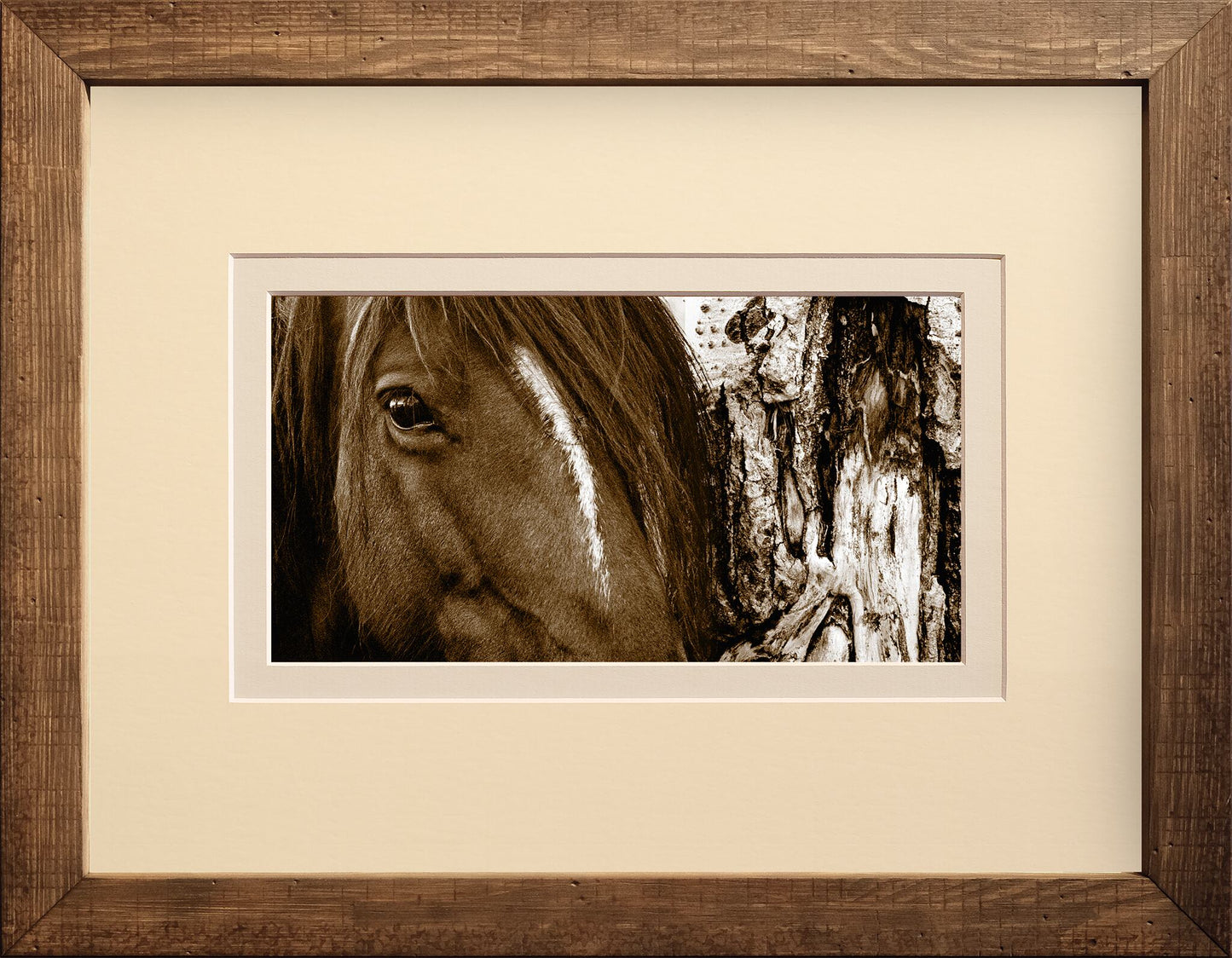 Aspen Horse