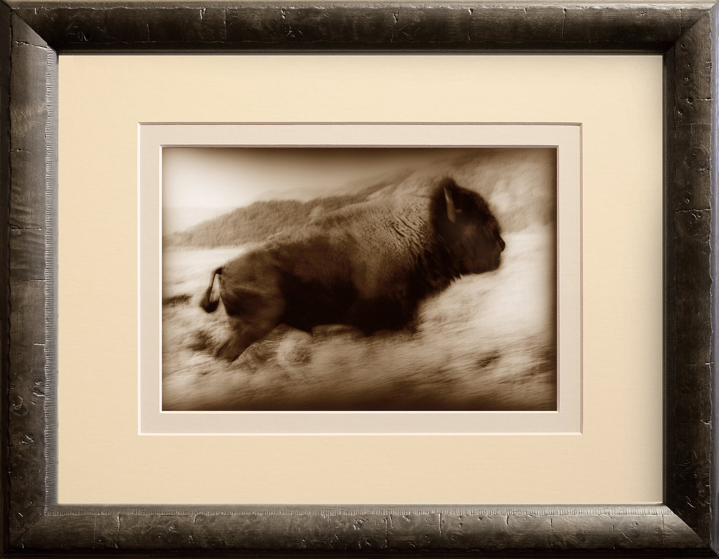 Buffalo Run