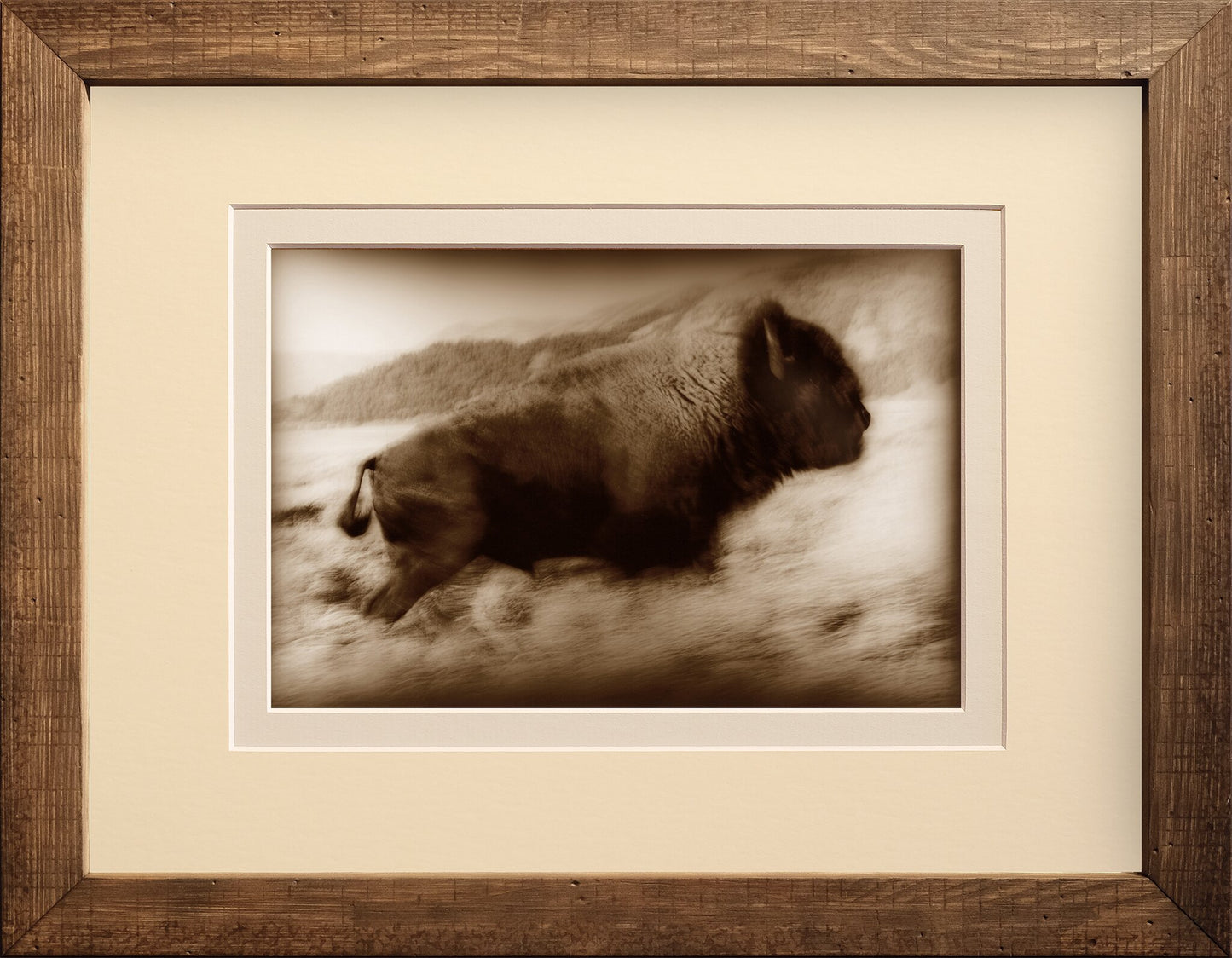 Buffalo Run