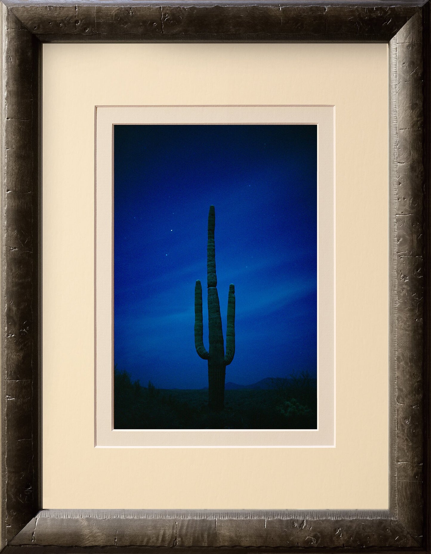 Cactus Blues