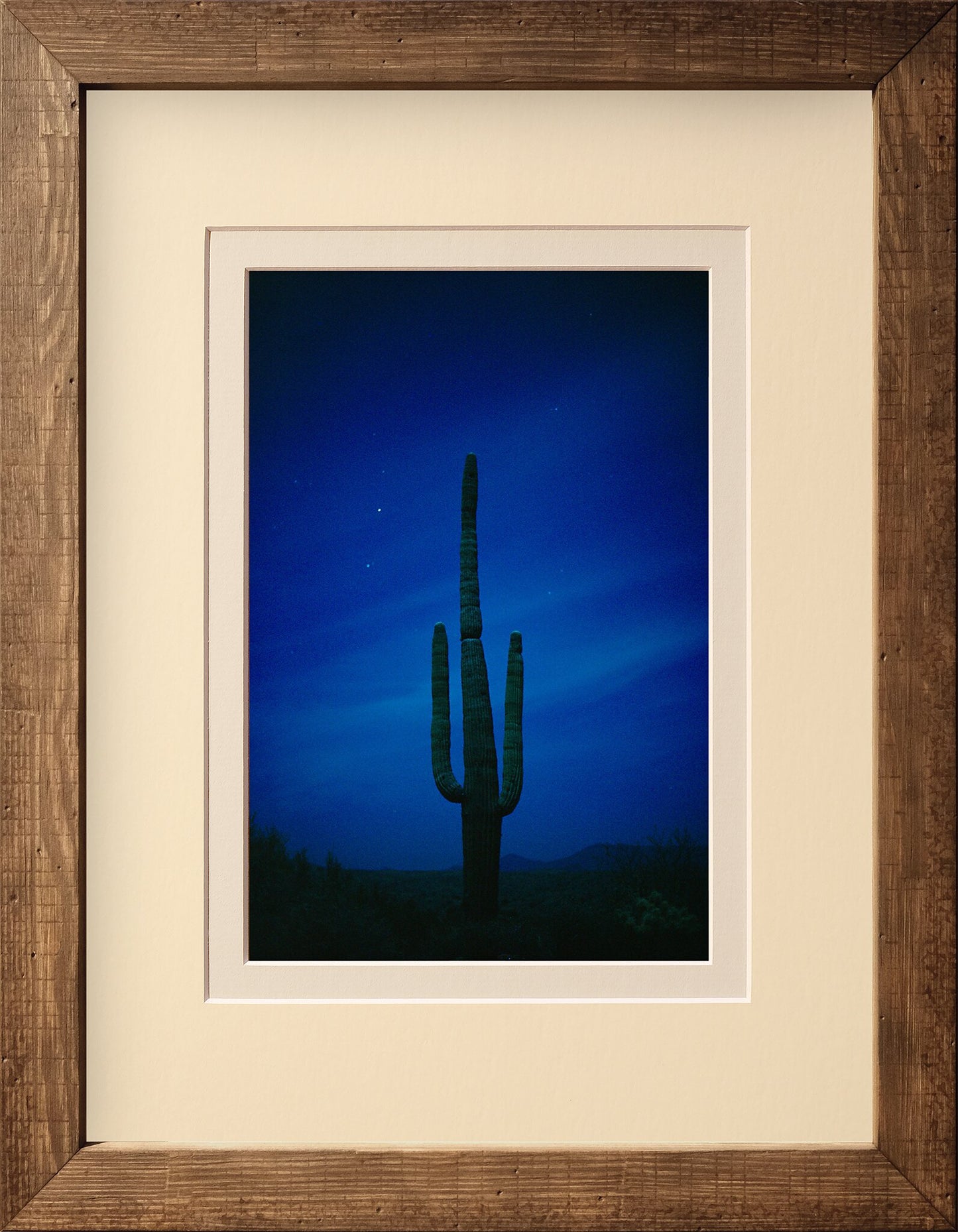 Cactus Blues