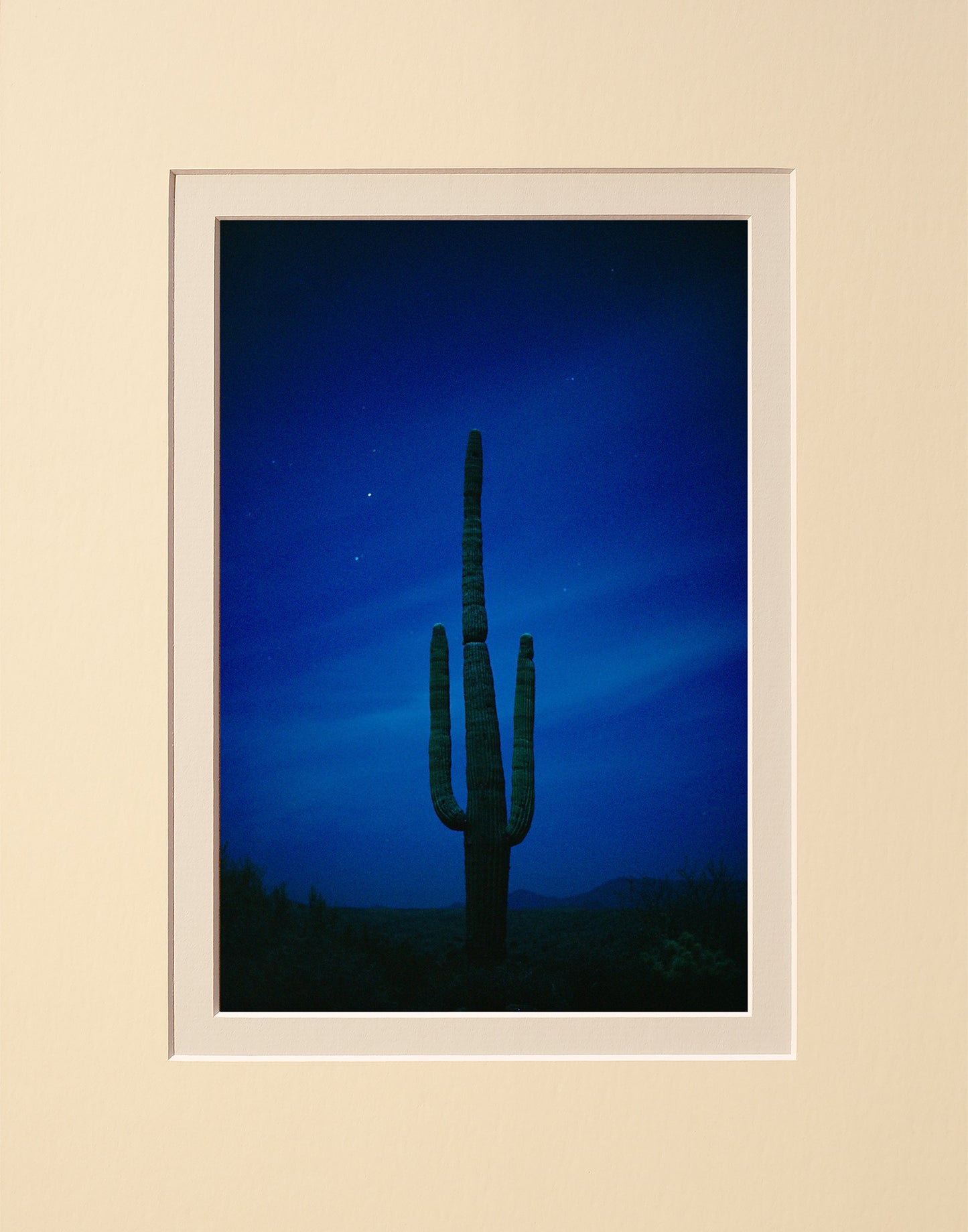 Cactus Blues