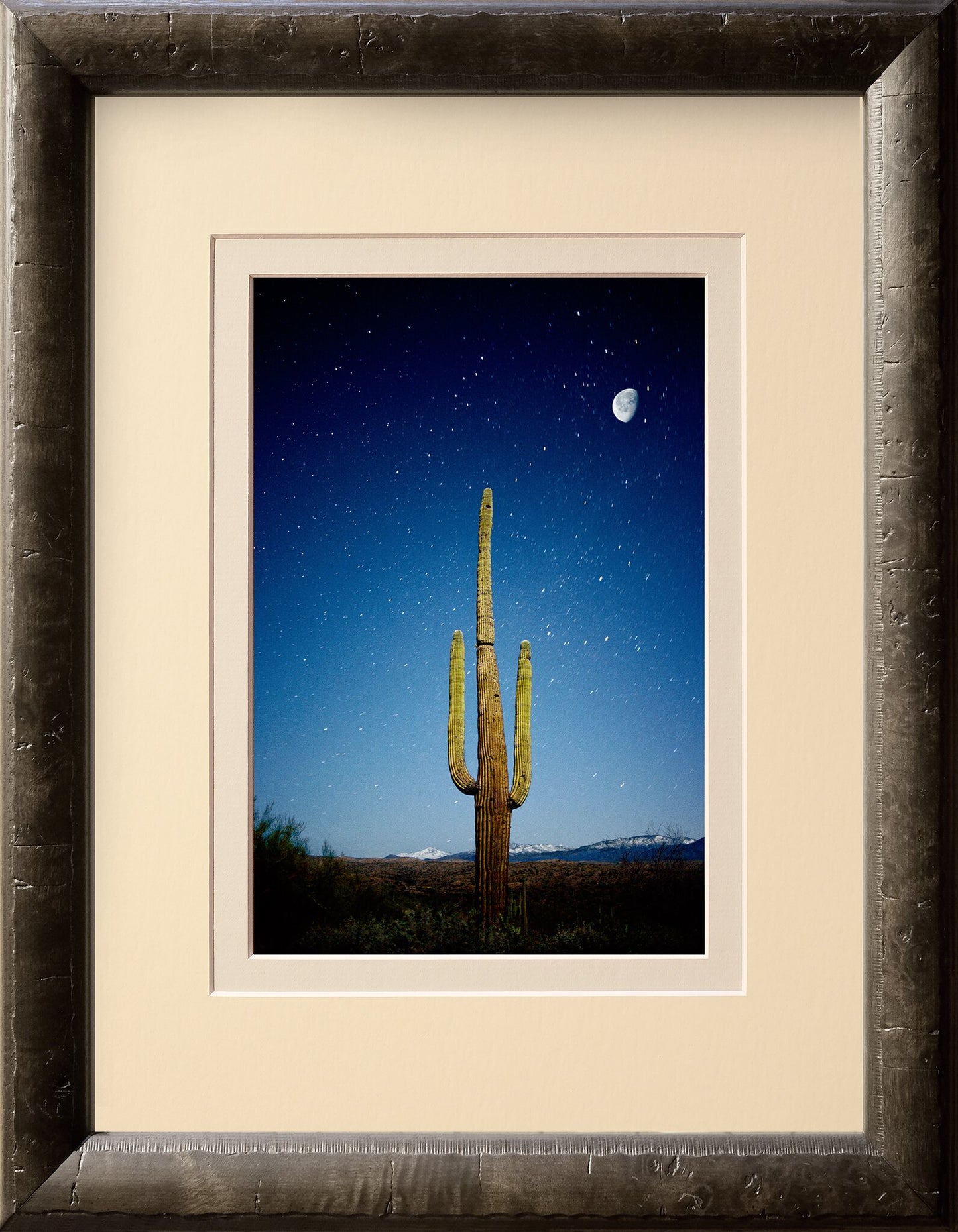 Cactus Moon