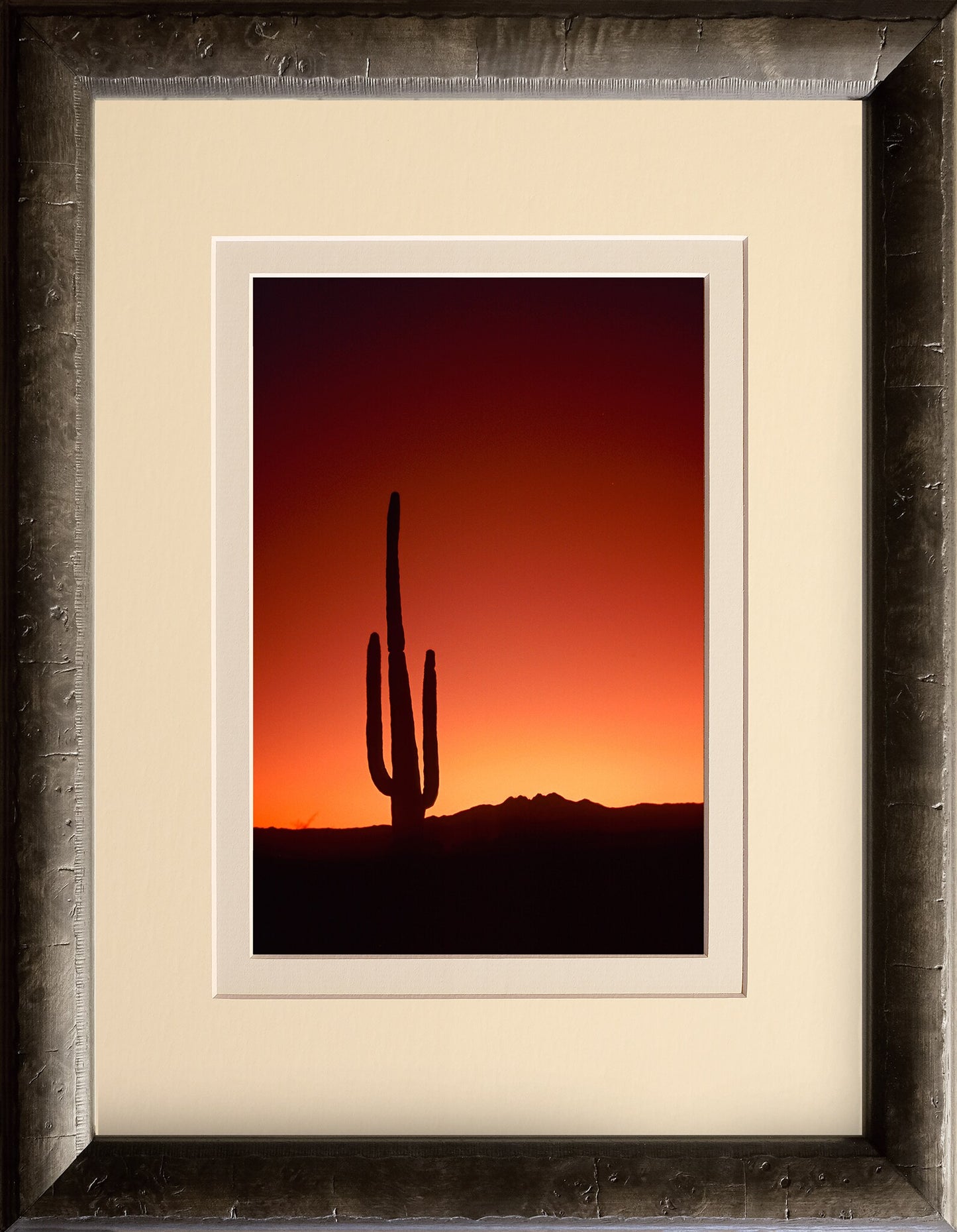 Cactus Sunrise