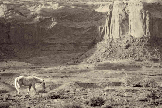 Canyon of Thoughts