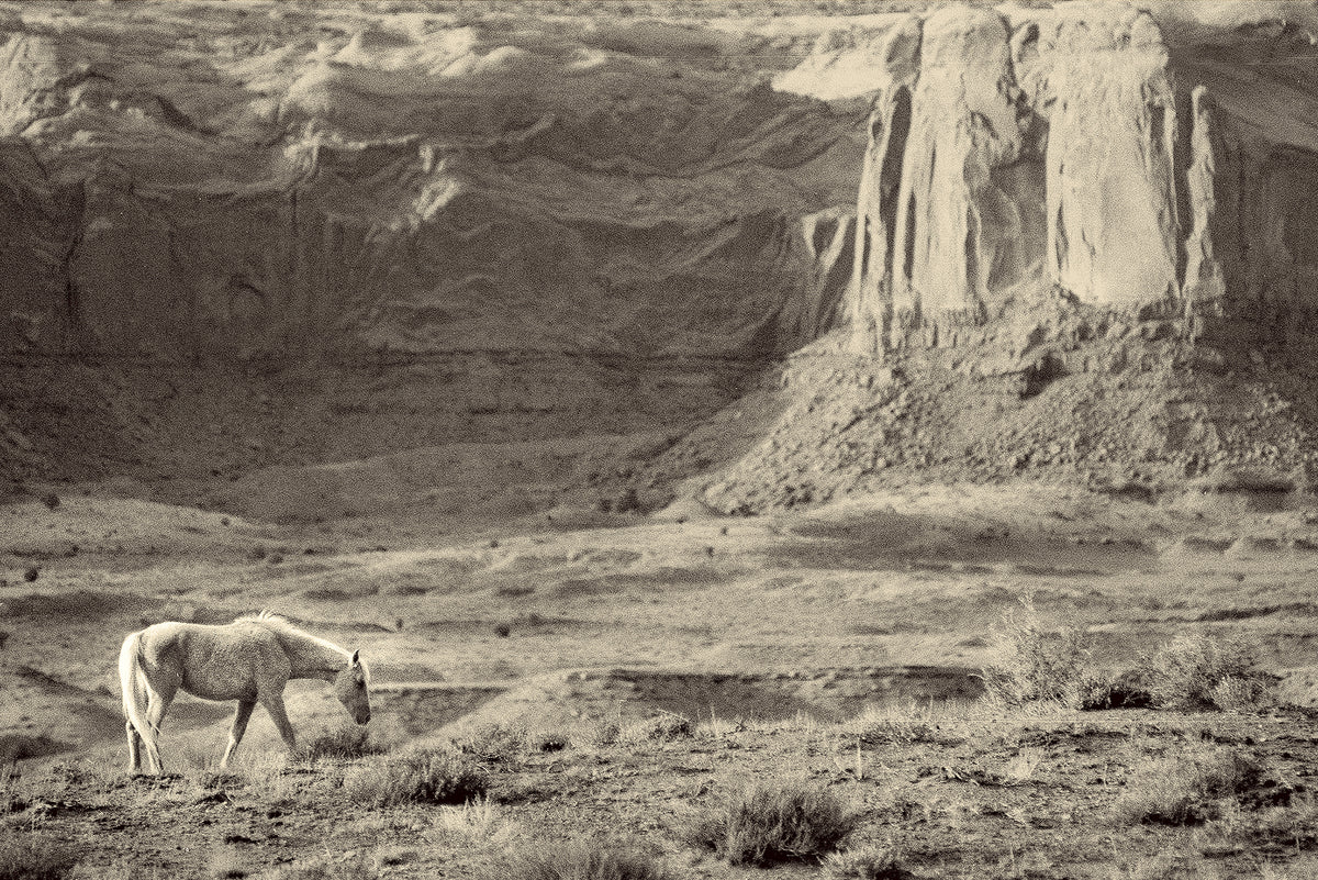 Canyon of Thoughts