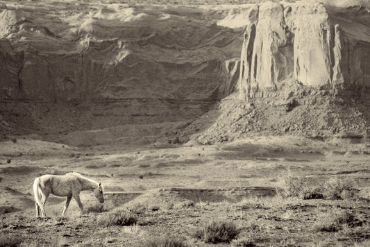 Canyon of Thoughts