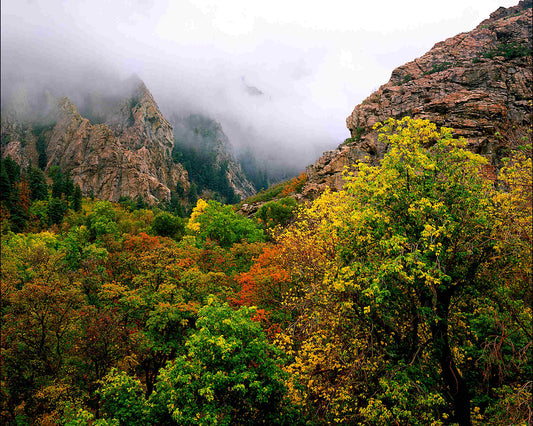 Colors of Utah