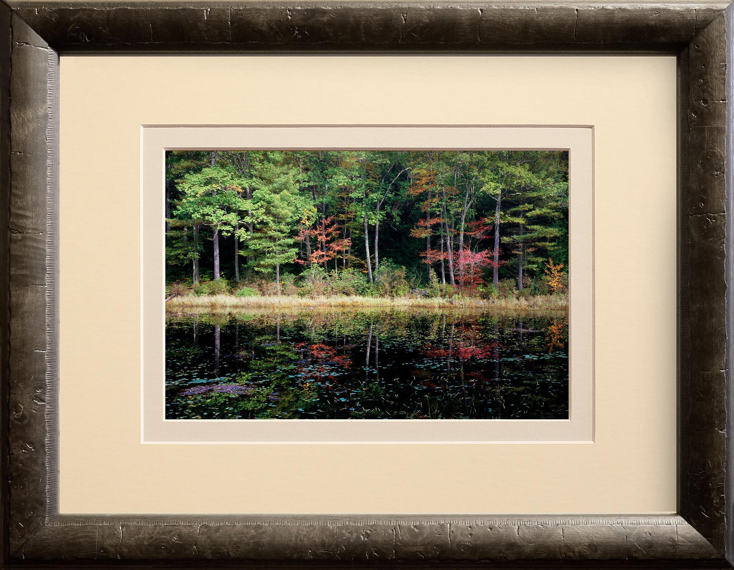 Eastern Reflections