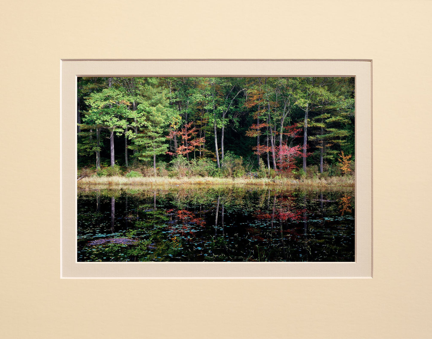 Eastern Reflections