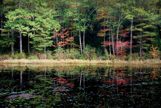 Eastern Reflections