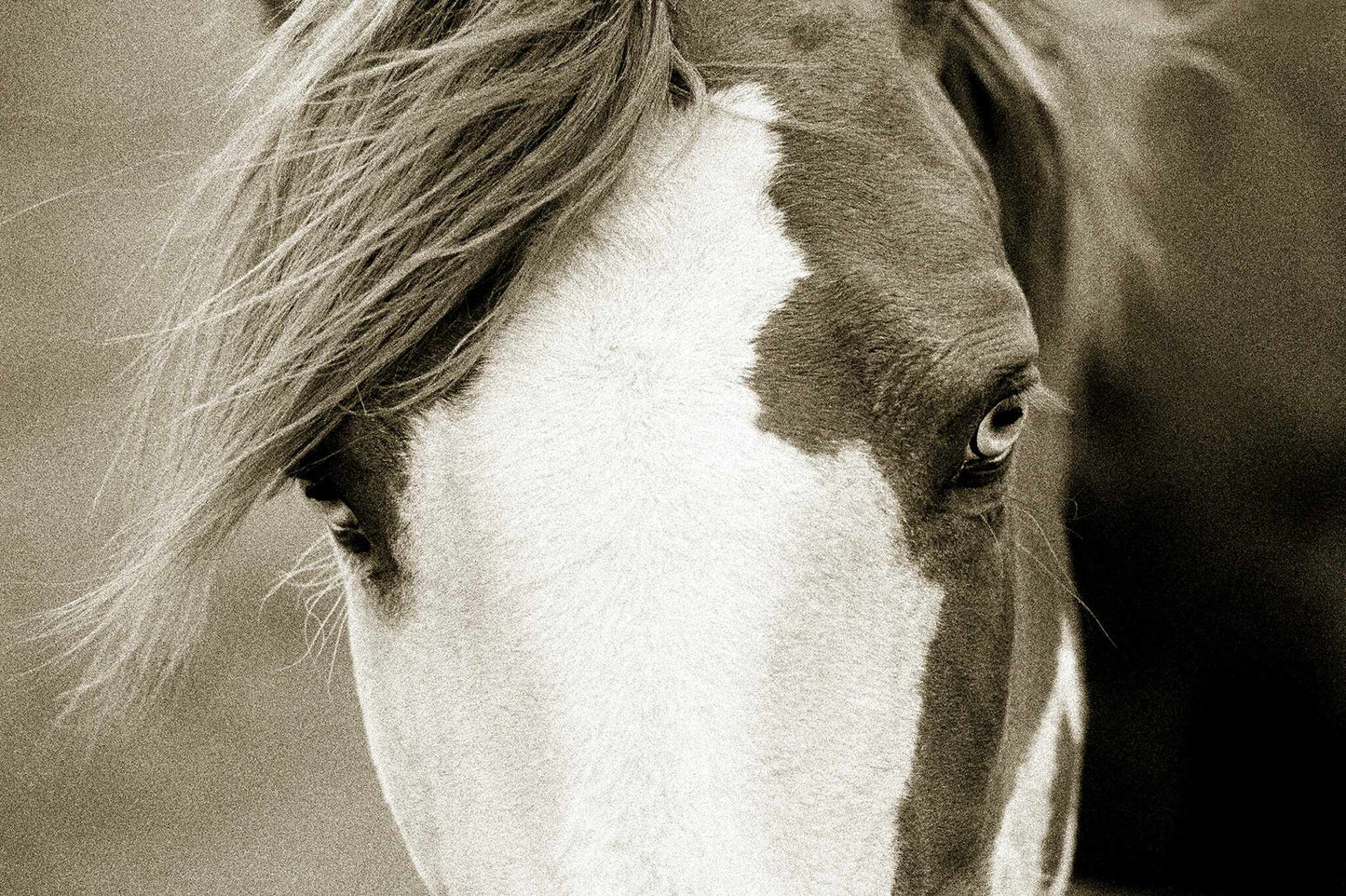 Eye of the Beholder