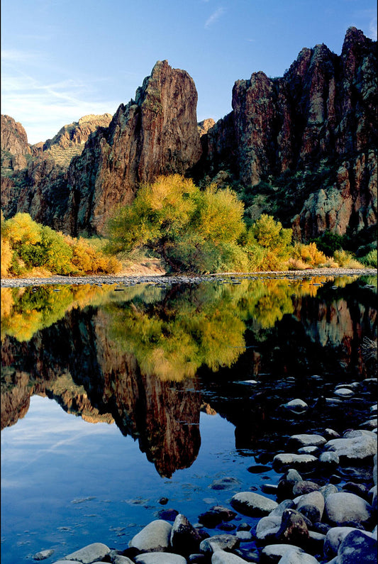 Fall Reflections