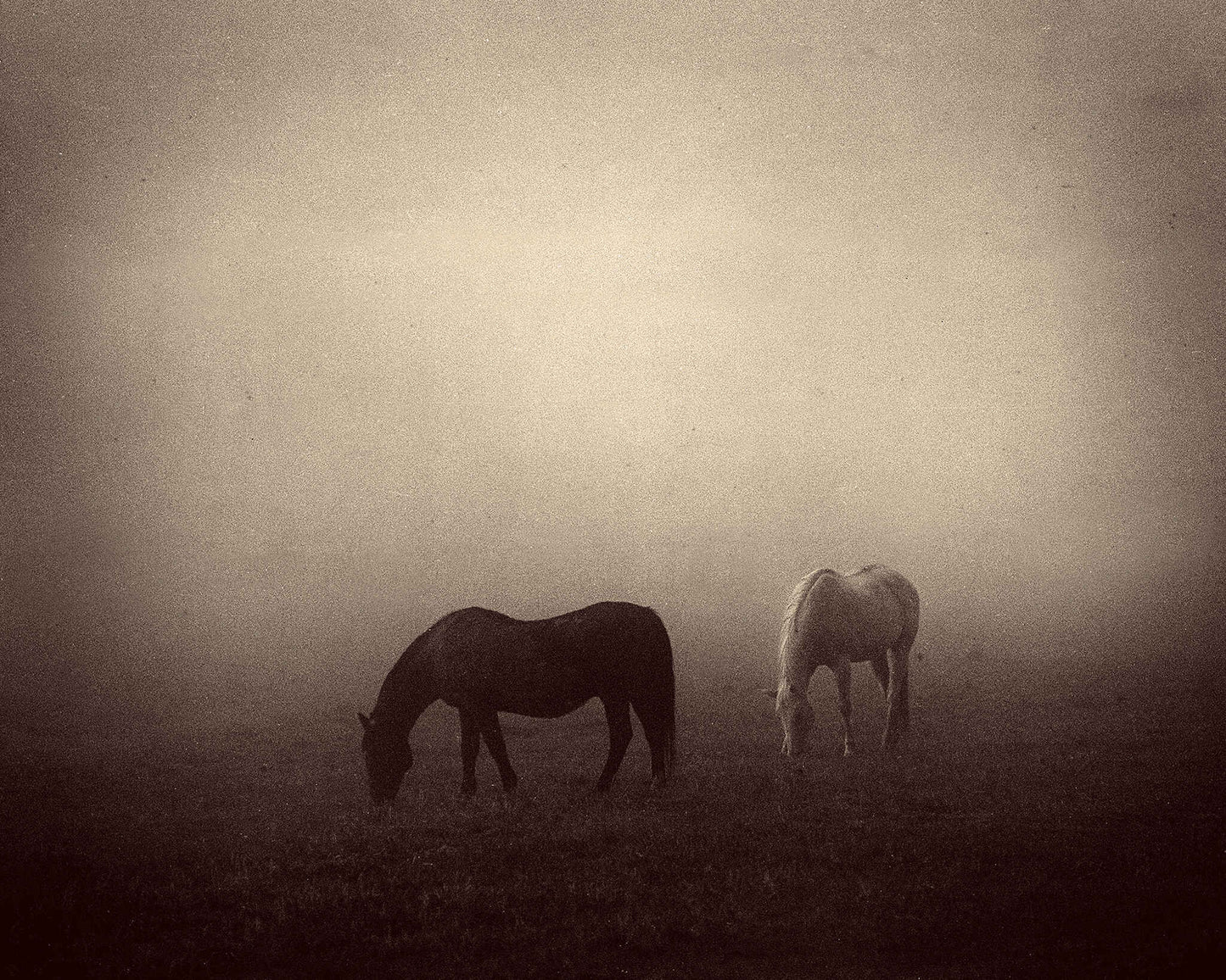 Field of Dreams