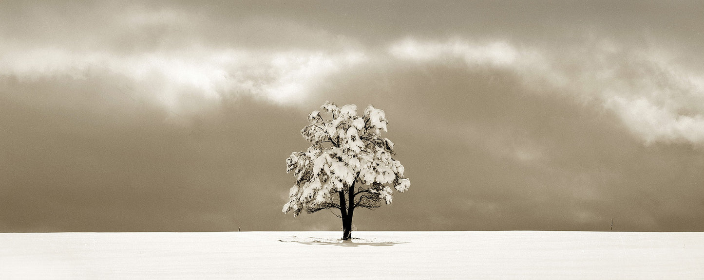 Hidden Light