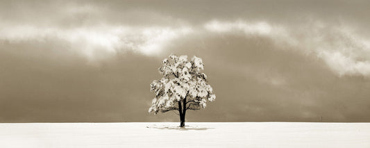 Hidden Light