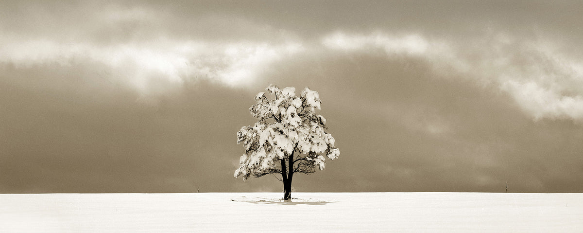 Hidden Light