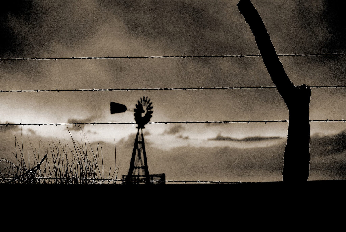 Kansas Wind