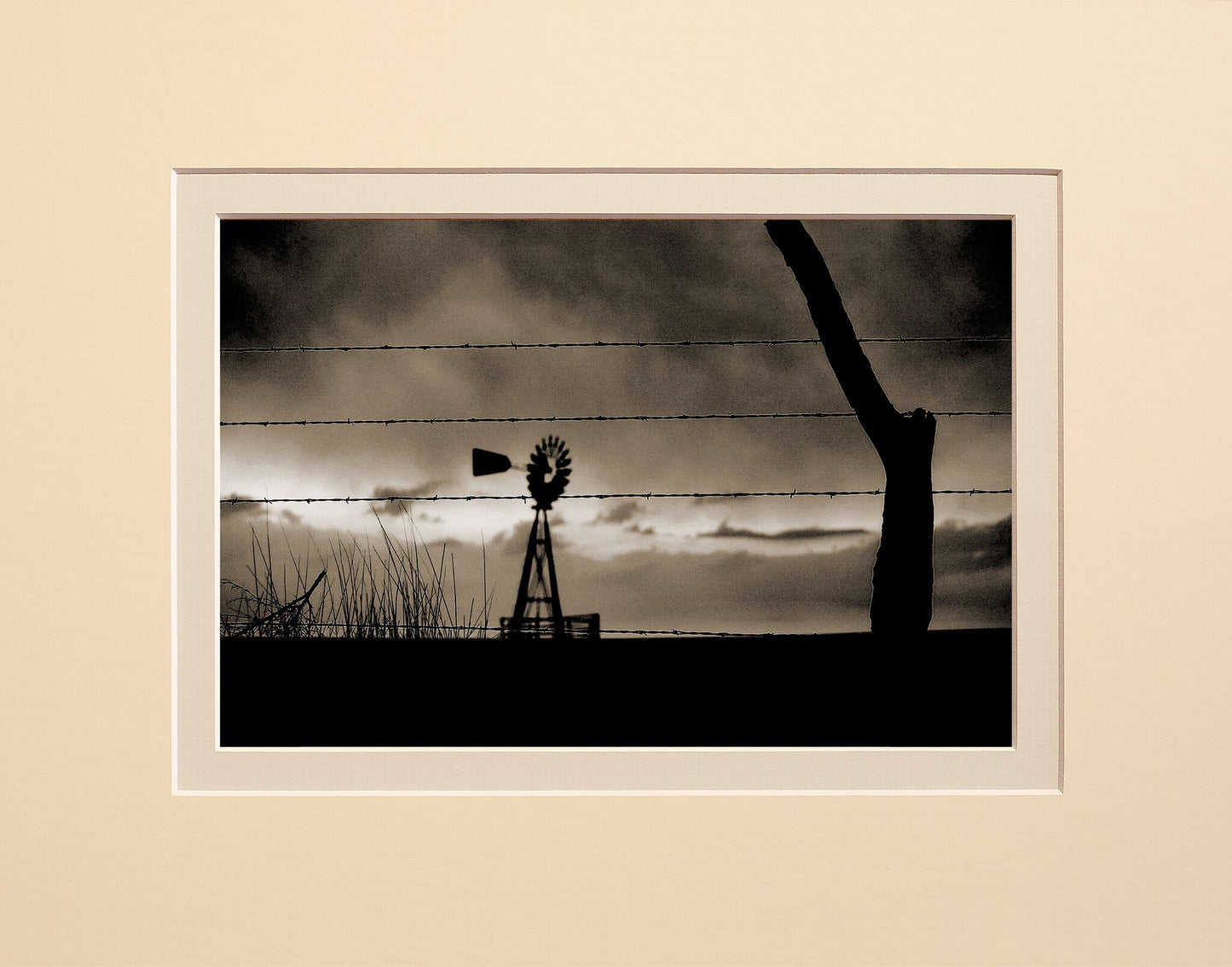 Kansas Wind