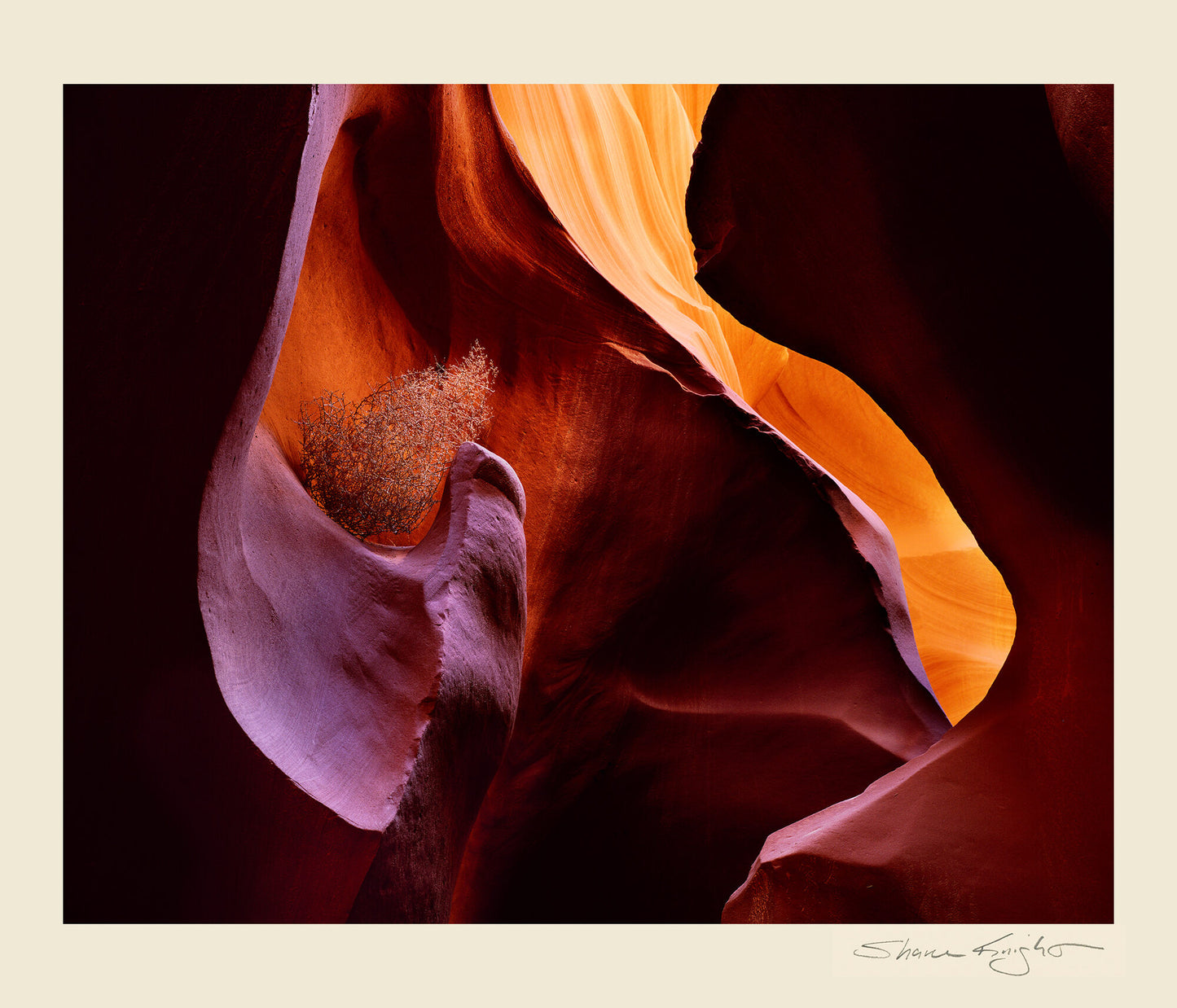 Light Of the Canyon