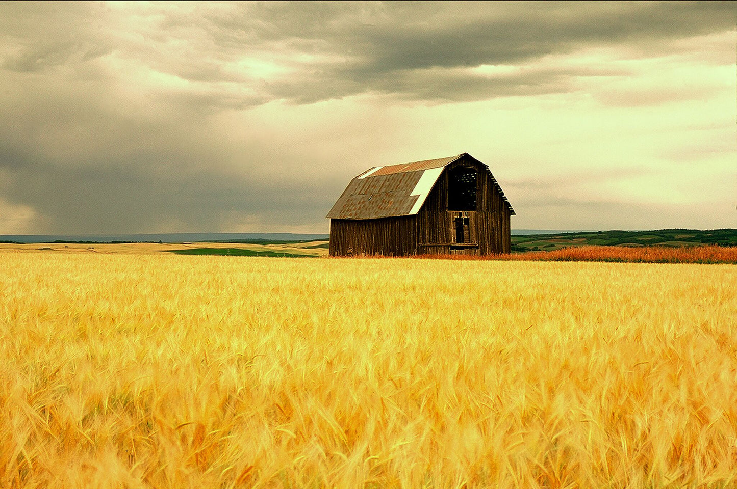 Lonely Barn