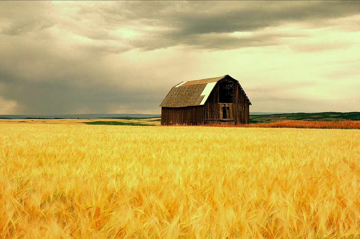 Lonely Barn