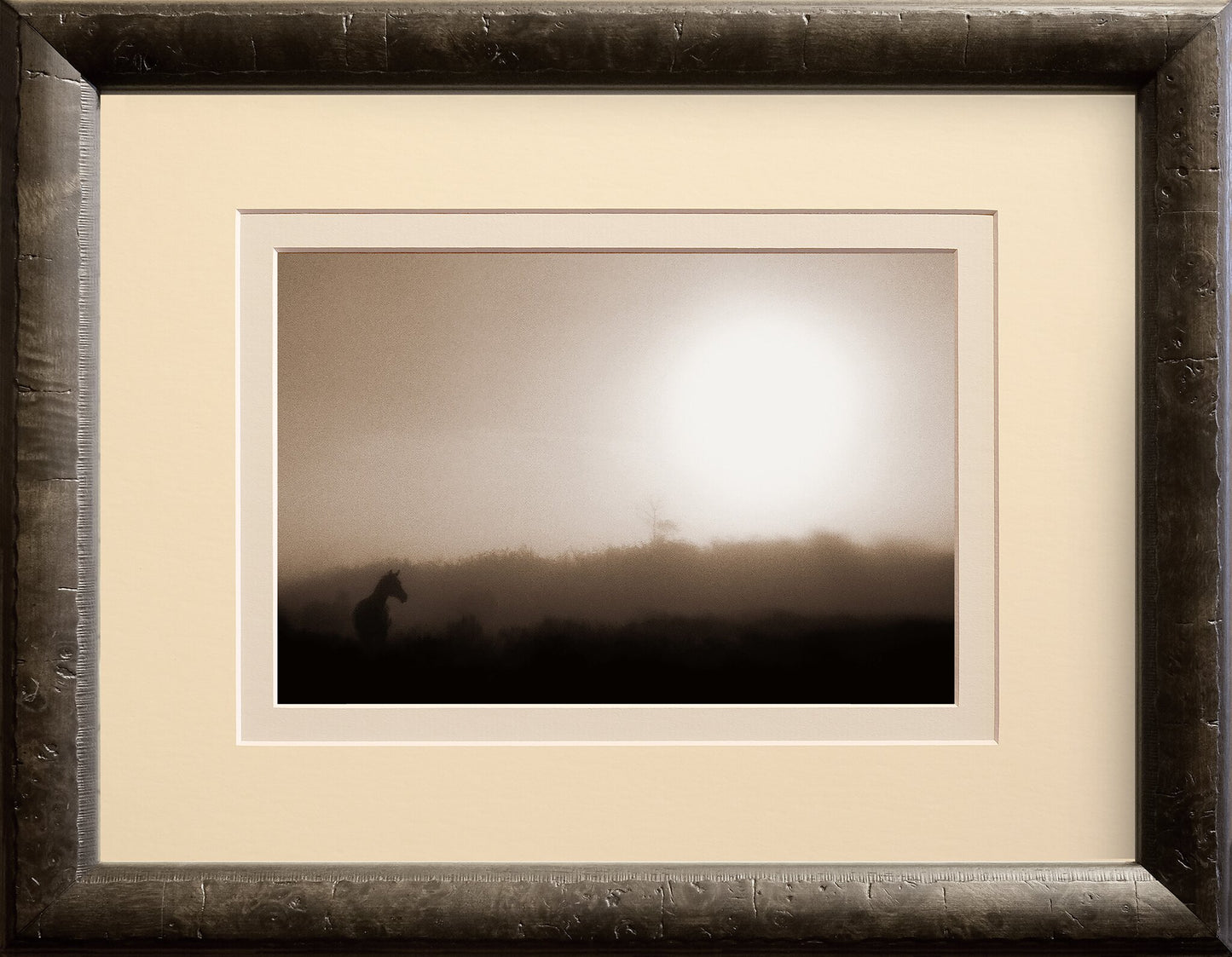 Misty Morning