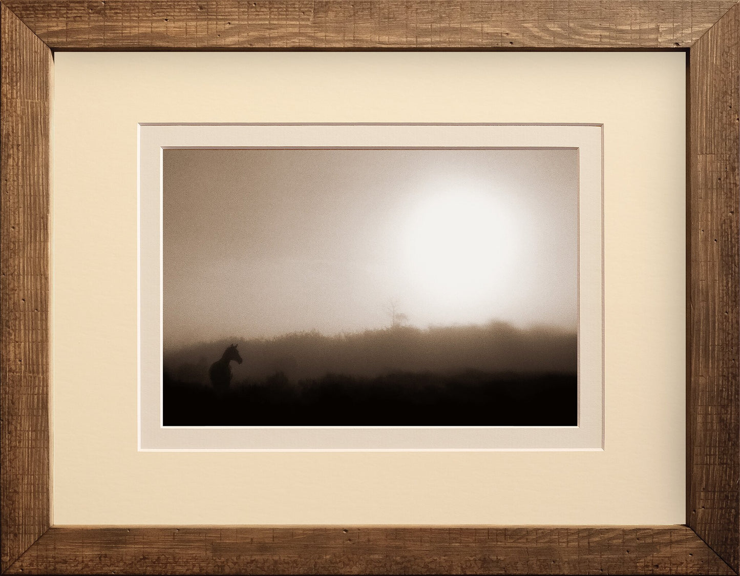 Misty Morning