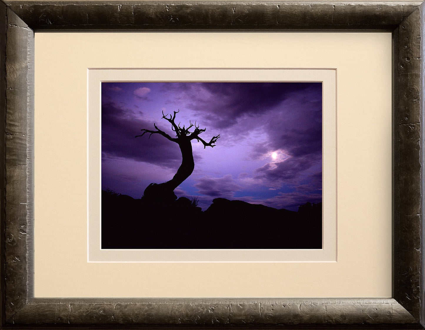 Moon Watcher