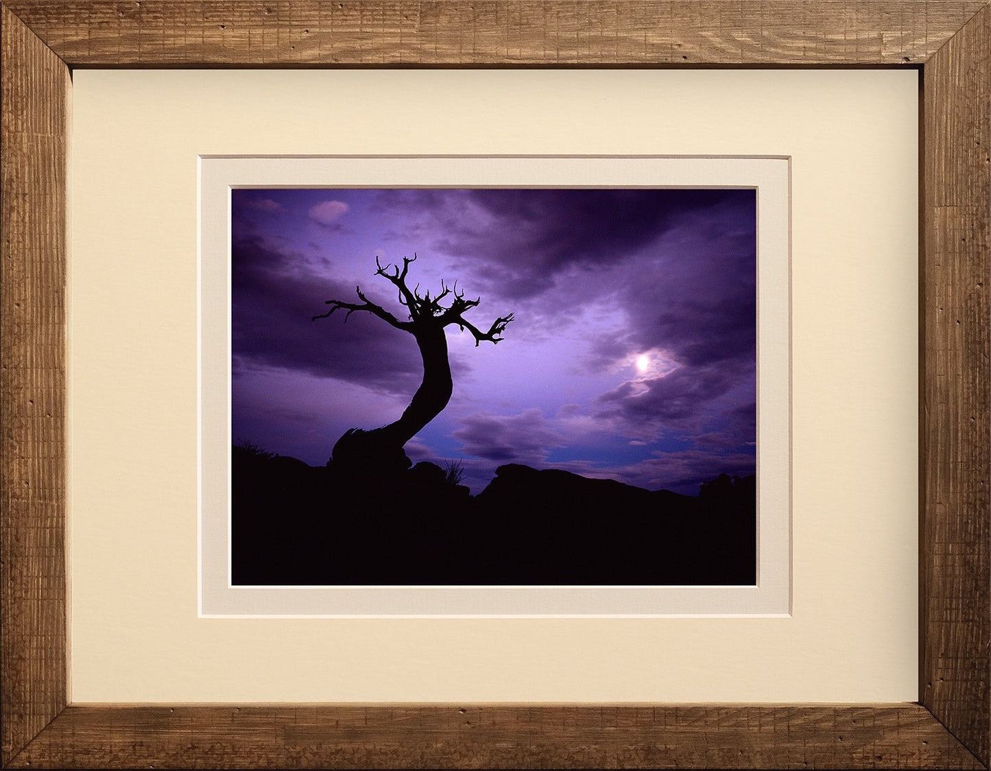 Moon Watcher