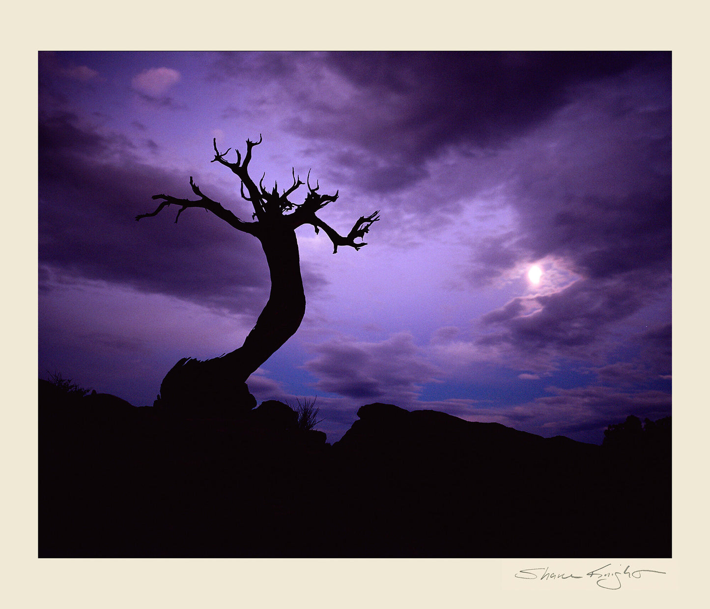 Moon Watcher