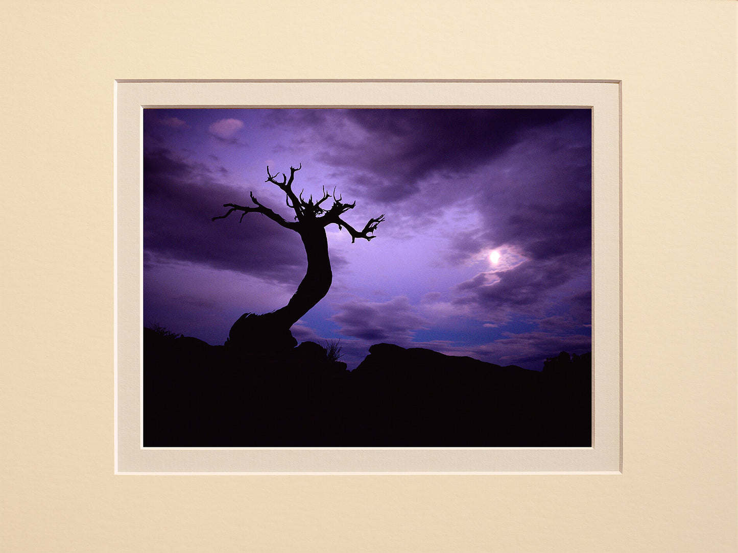 Moon Watcher